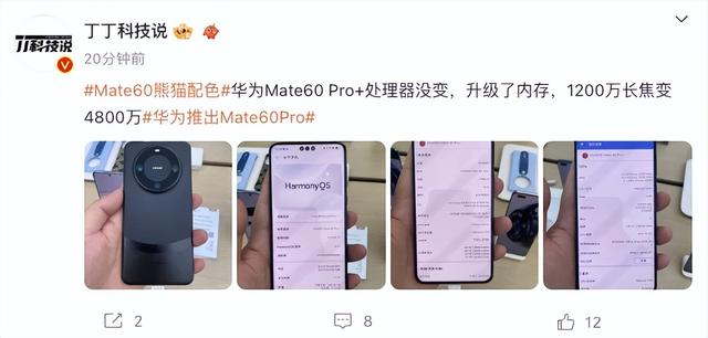 华为Mate60 Pro 新增熊猫配色（售价6999元，5G或回归）(9)